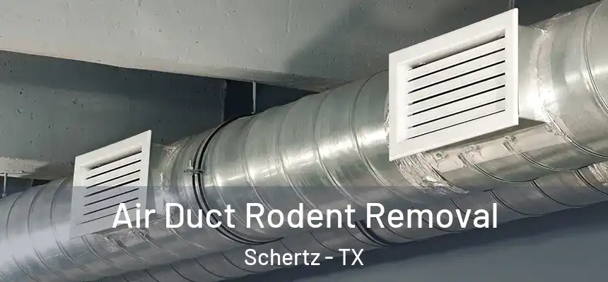  Air Duct Rodent Removal Schertz - TX