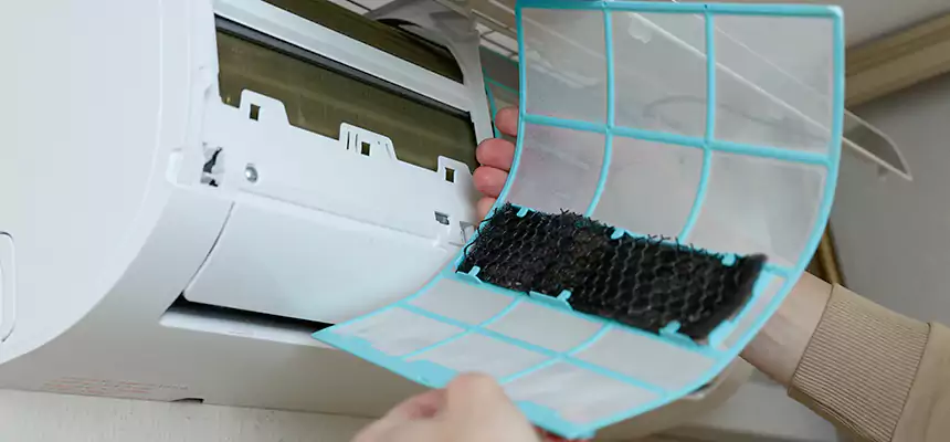 Gentle Ductwork Odor-Control Pet Dander Duct Cleaning in Schertz, TX