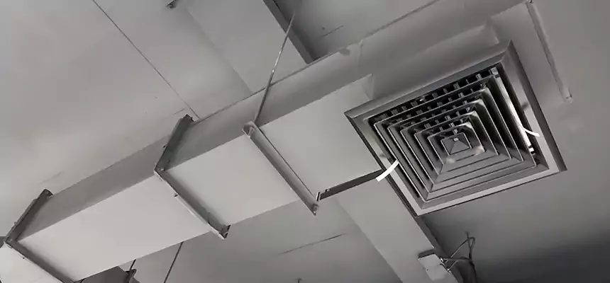 Our Rodent Droppings In Vents Services in Schertz, TX