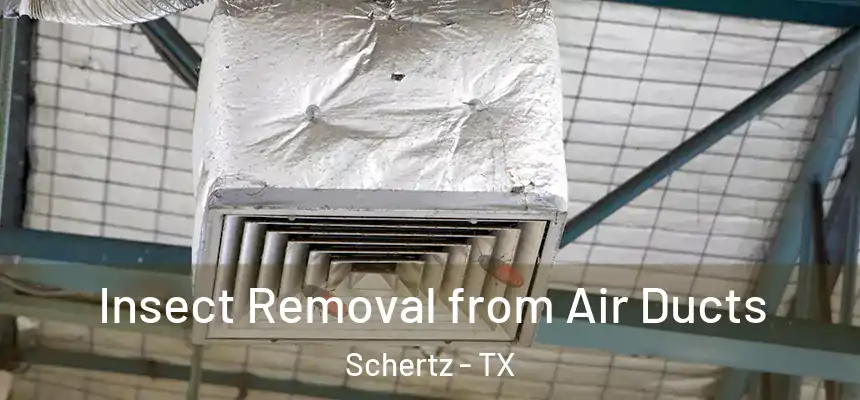  Insect Removal from Air Ducts Schertz - TX