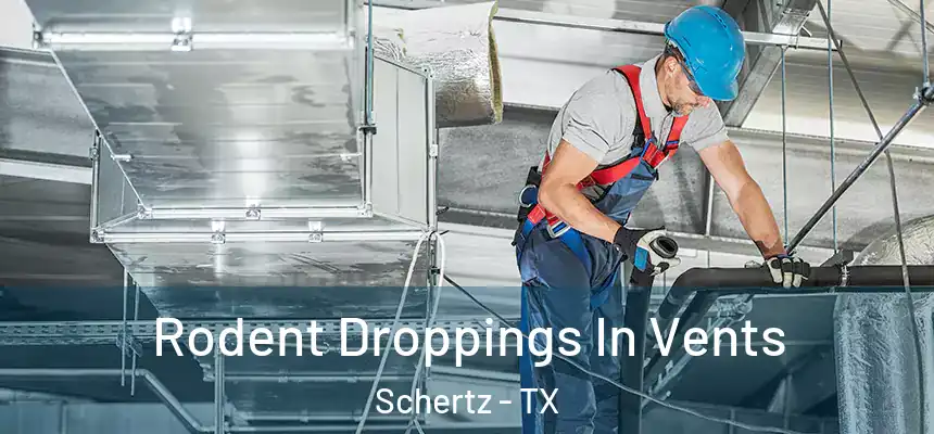  Rodent Droppings In Vents Schertz - TX