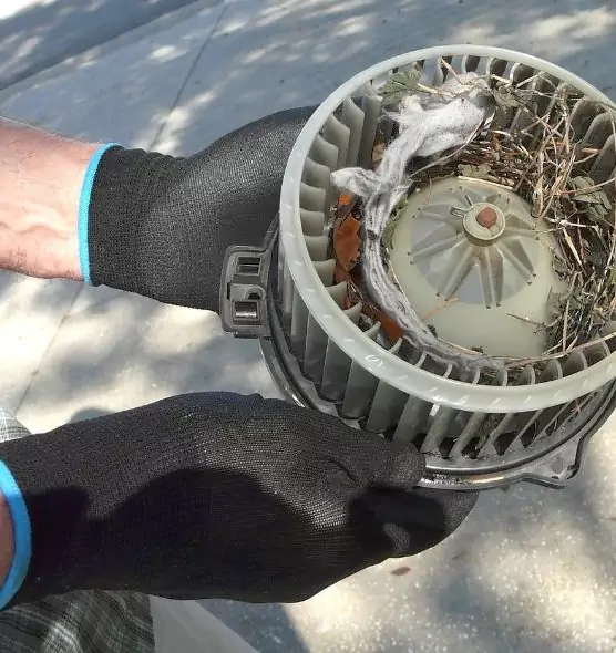 About Air Duct Rat Removal in Schertz, TX