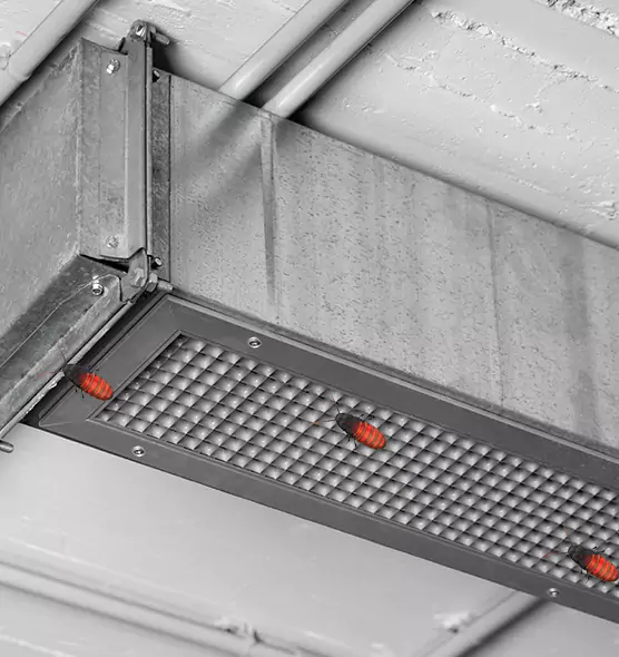 Affordable Insect Removal from Air Ducts in Schertz, TX