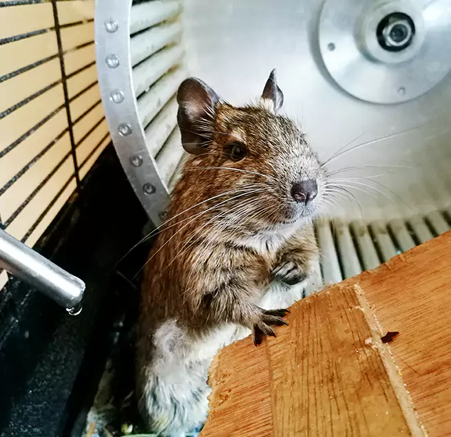 Why Homeowners & Businesses Trust Us Schertz, TX