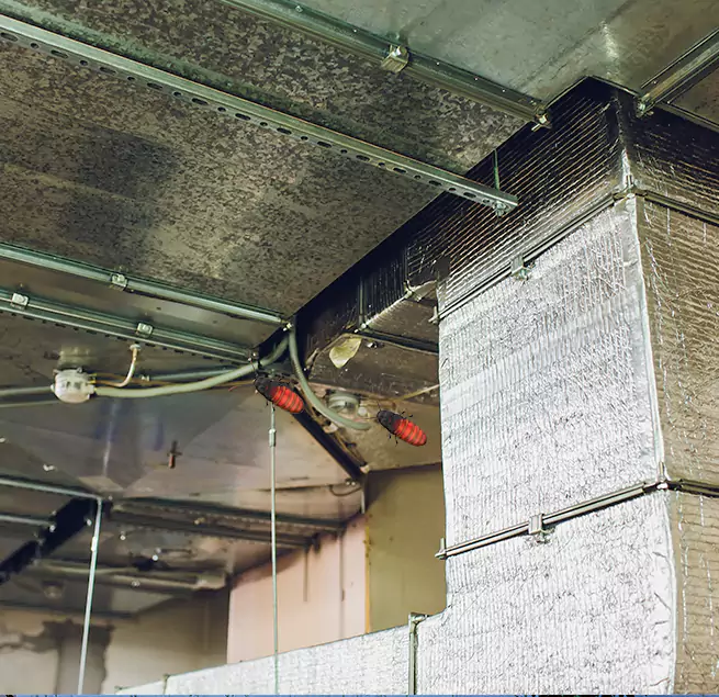 Why Homeowners & Businesses Trust Us Schertz, TX?